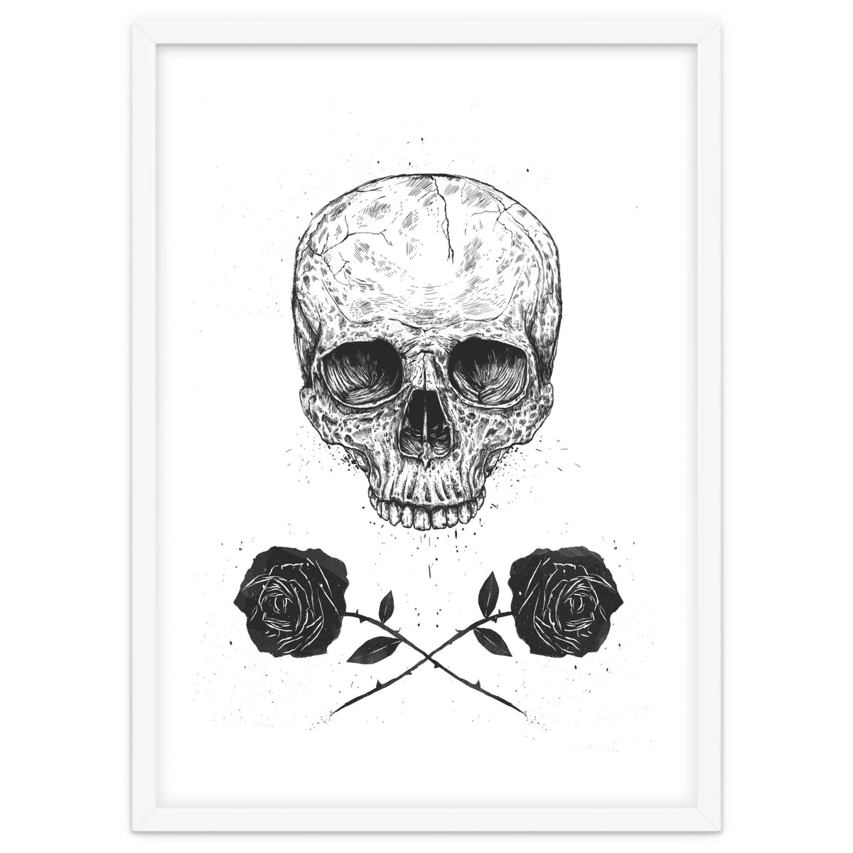 Skull N Roses