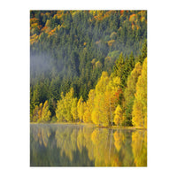 LAKE IN FOREST (Print Only)