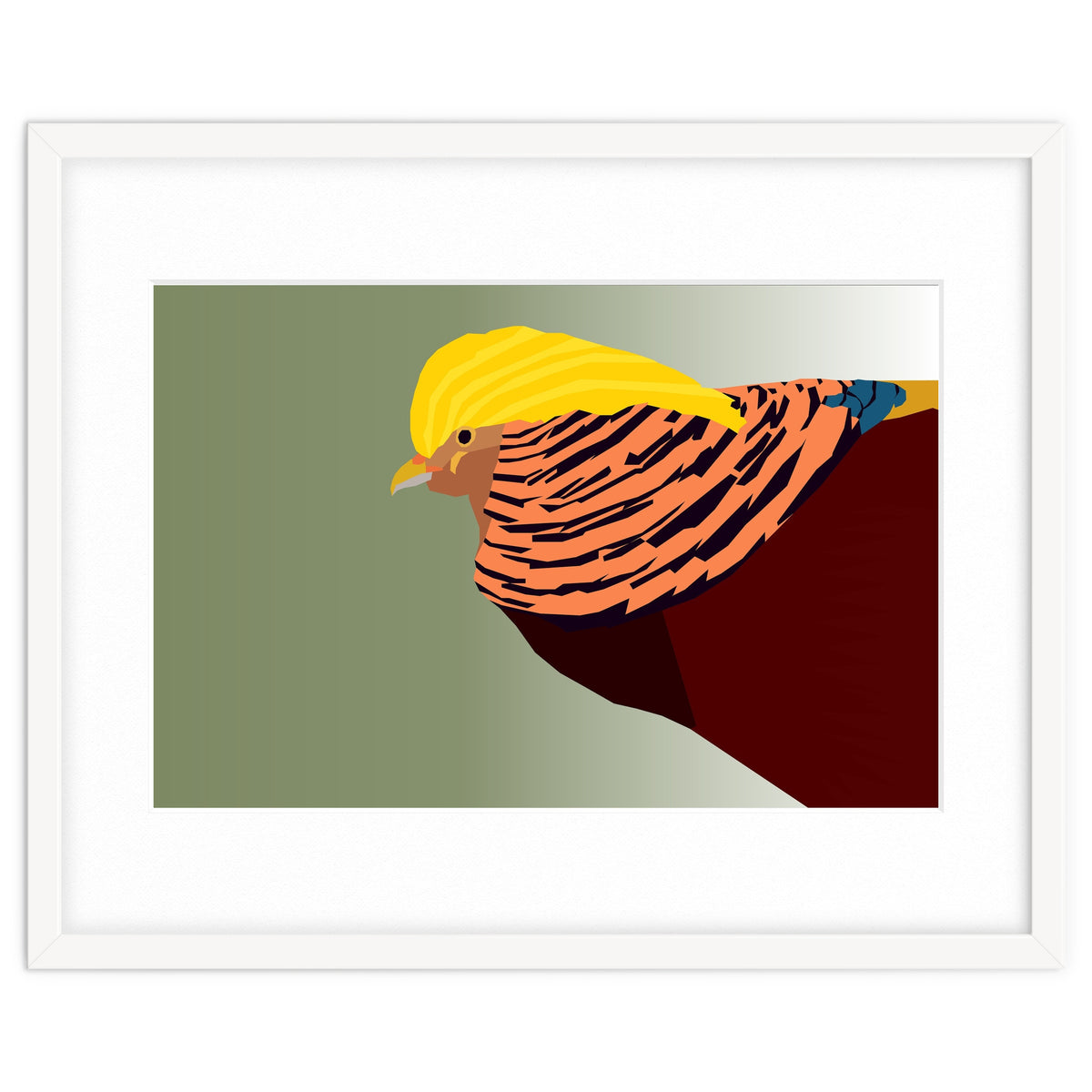 Golden Pheasant Bird Art
