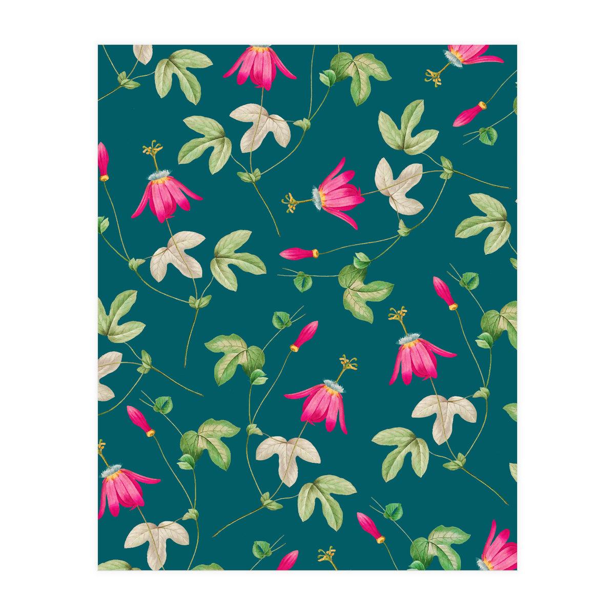 Art Of Nature (Print Only)