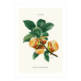 Burger Plant (Print Only) thumbnail