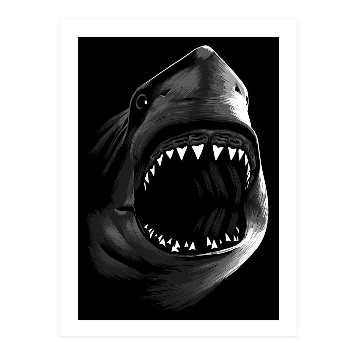 Great Shark White (Print Only)