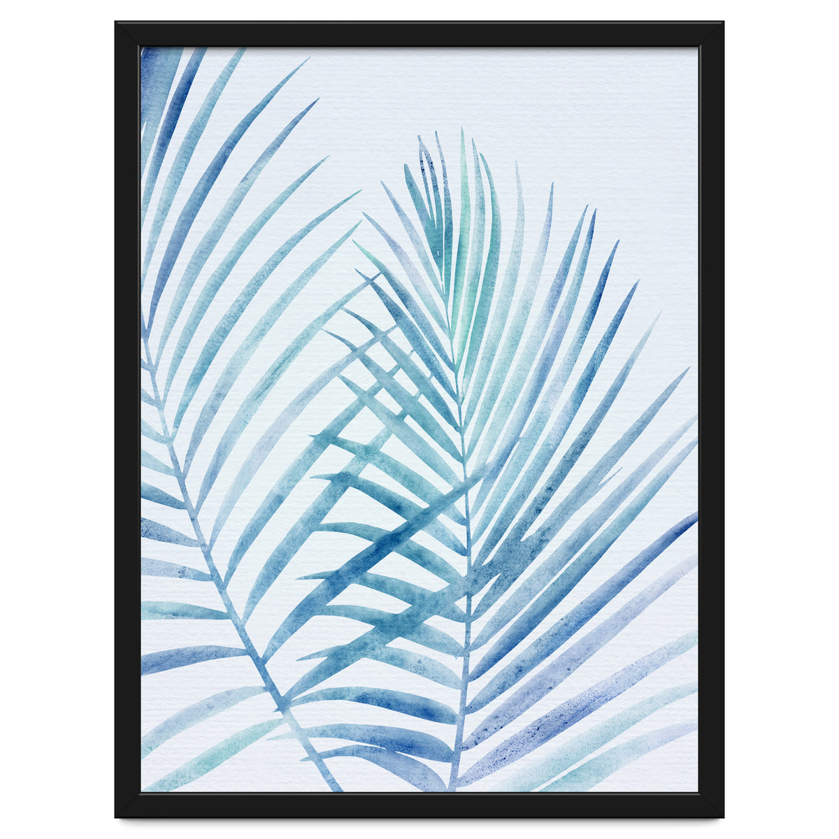 Coastal Palm Fronds