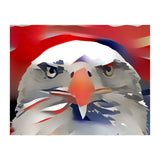 Bald Eagle (Print Only) thumbnail