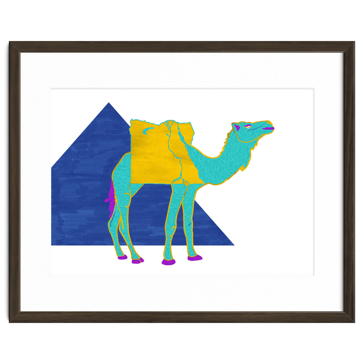 Egyptian Dromedary