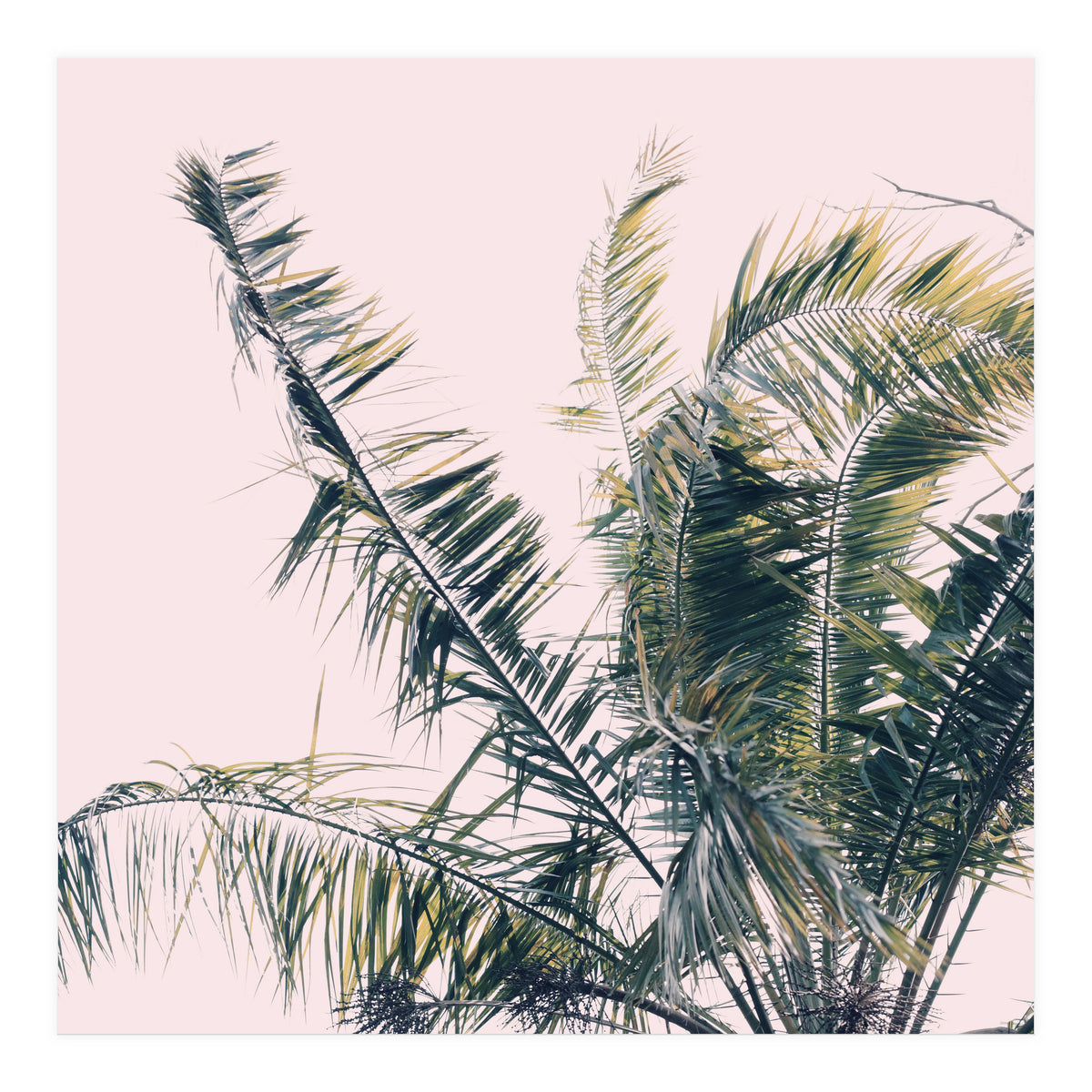 Winds Of Change #1 (Print Only)