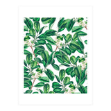 Botanica (Print Only) thumbnail