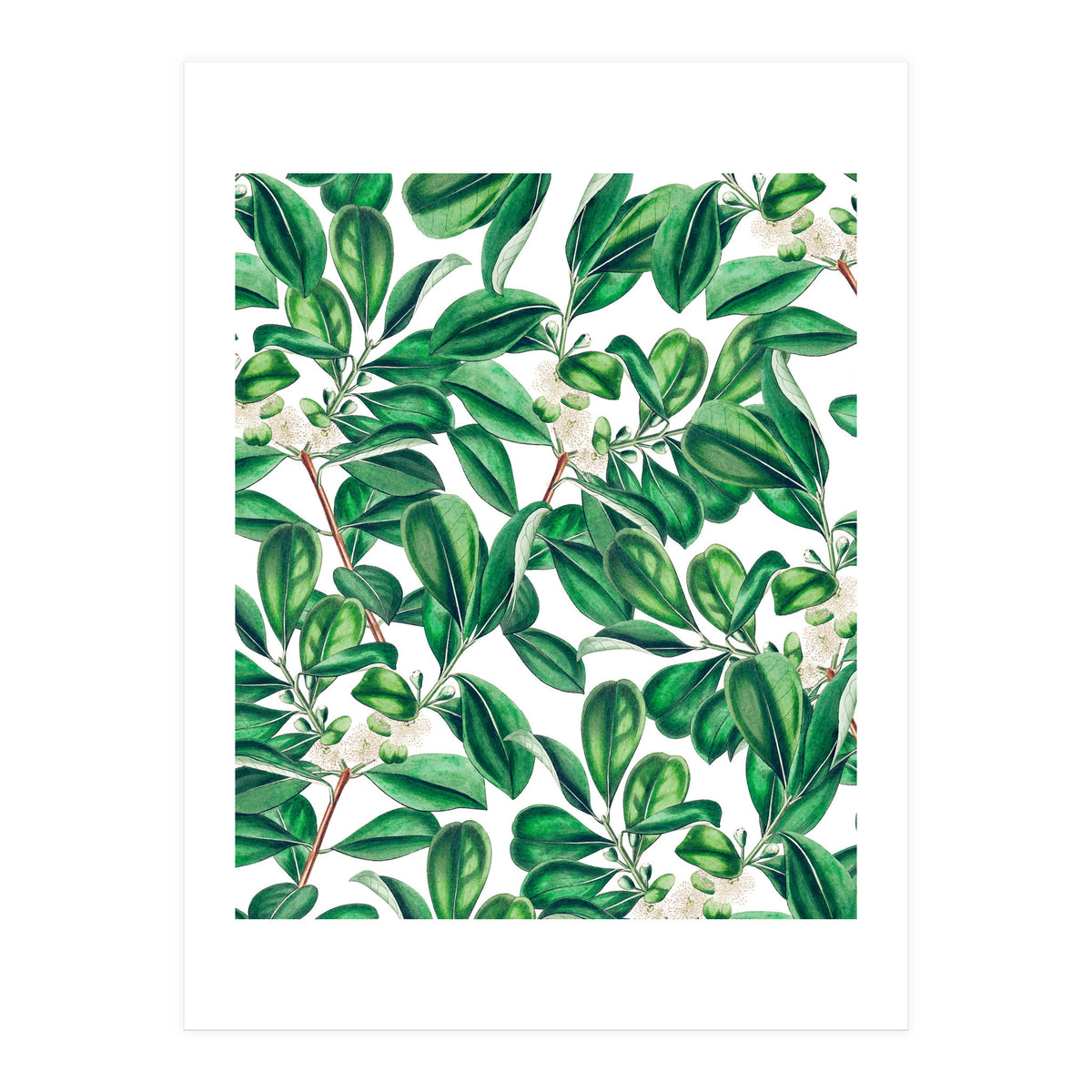 Botanica (Print Only)