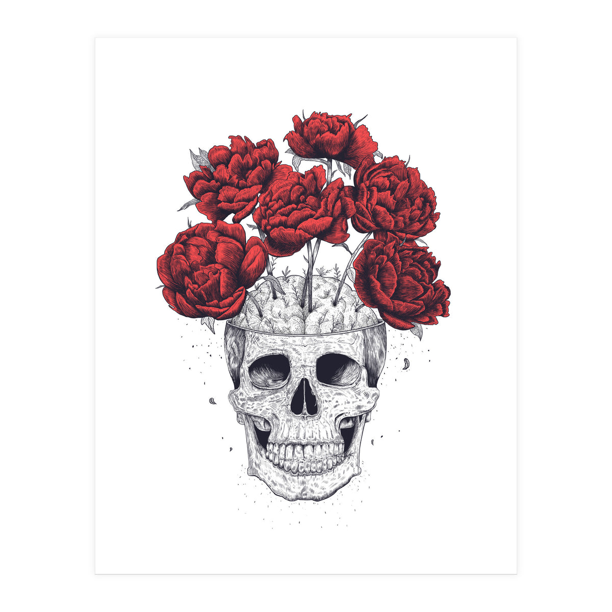 Skull With Peonies (Print Only)