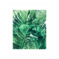 Tropical State of Mind | Watercolor Palm Banana Leaves Painting | Botanical Jungle Bohemian Plants (Print Only)