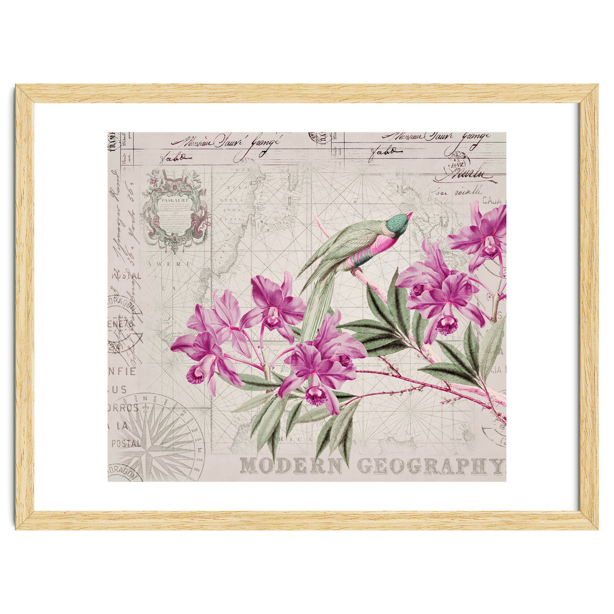 The Birds Voyage Of Discovery