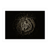 Backyard Flowers No 100 Sepia Version (Print Only) thumbnail