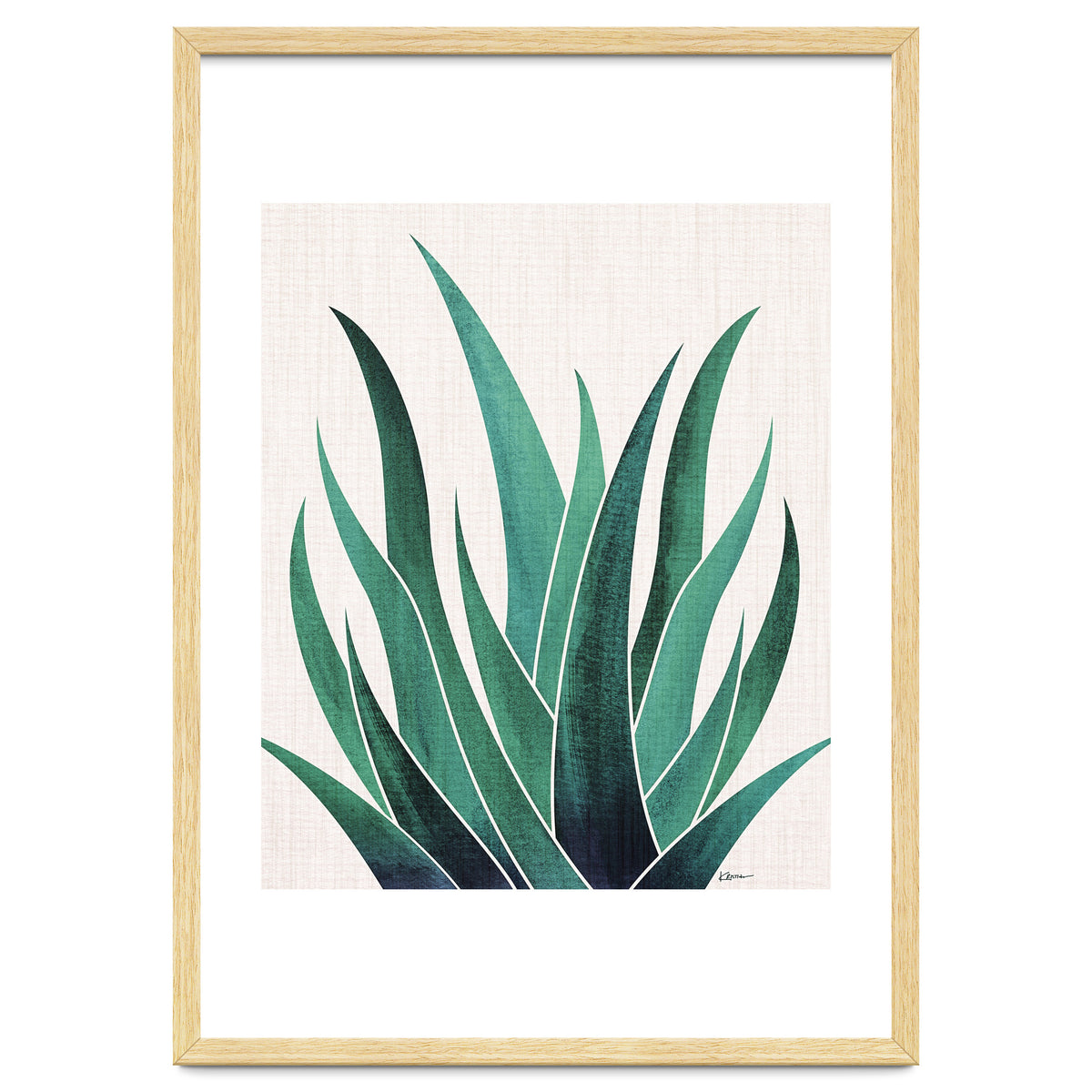Desert Agave