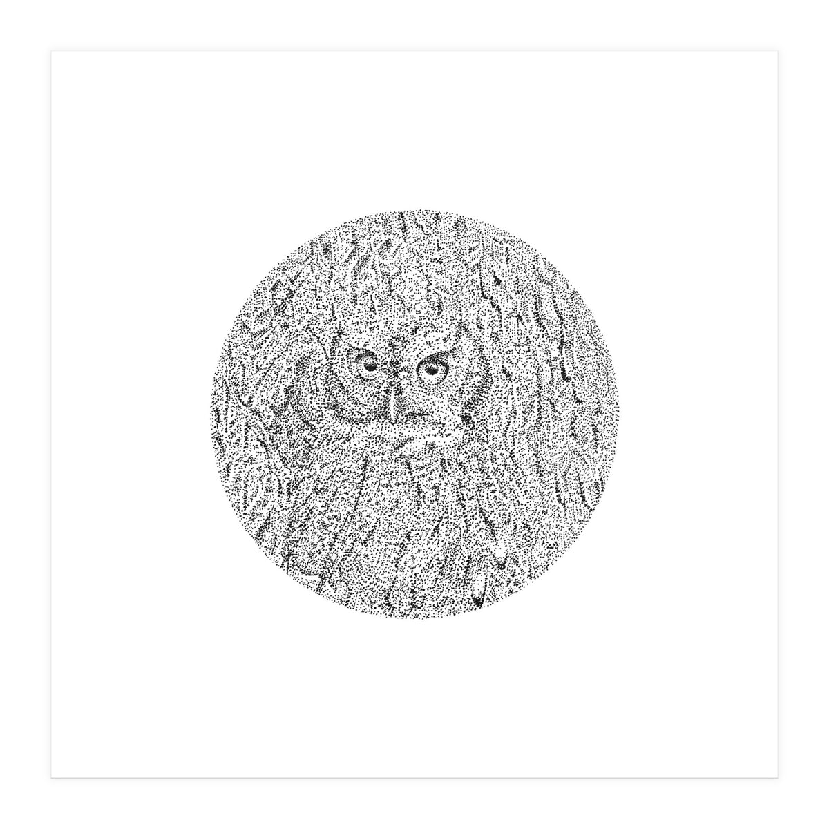 In Plain Sight (Print Only)