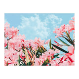 Blush Blossom II (Print Only) thumbnail