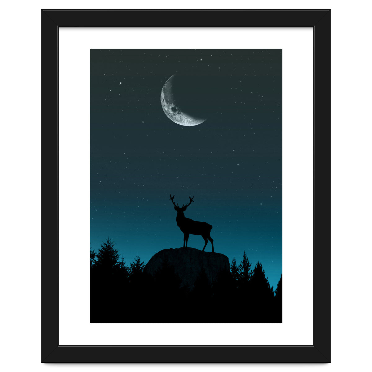 Wild Nature - Nocturne