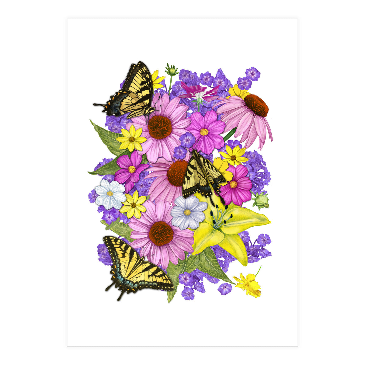 Corn Flowers and Swallowtails (Print Only)