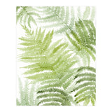 Samambaia  (Print Only) thumbnail