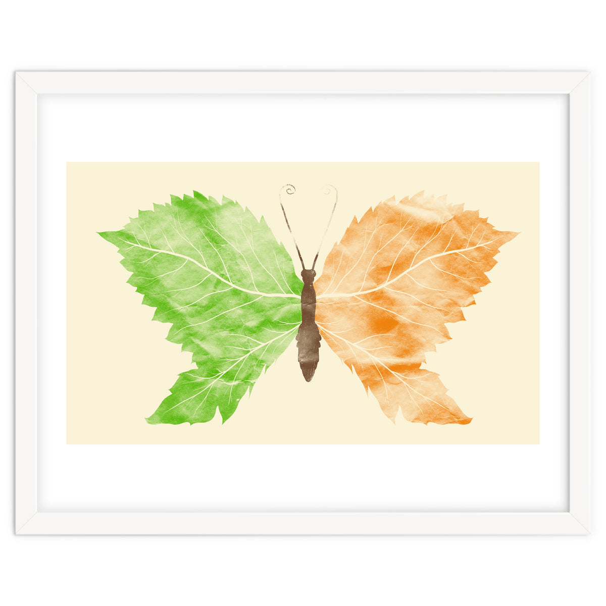 Seasons Change Time Flies