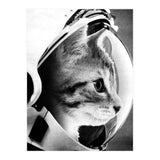 Astrocat (Print Only) thumbnail