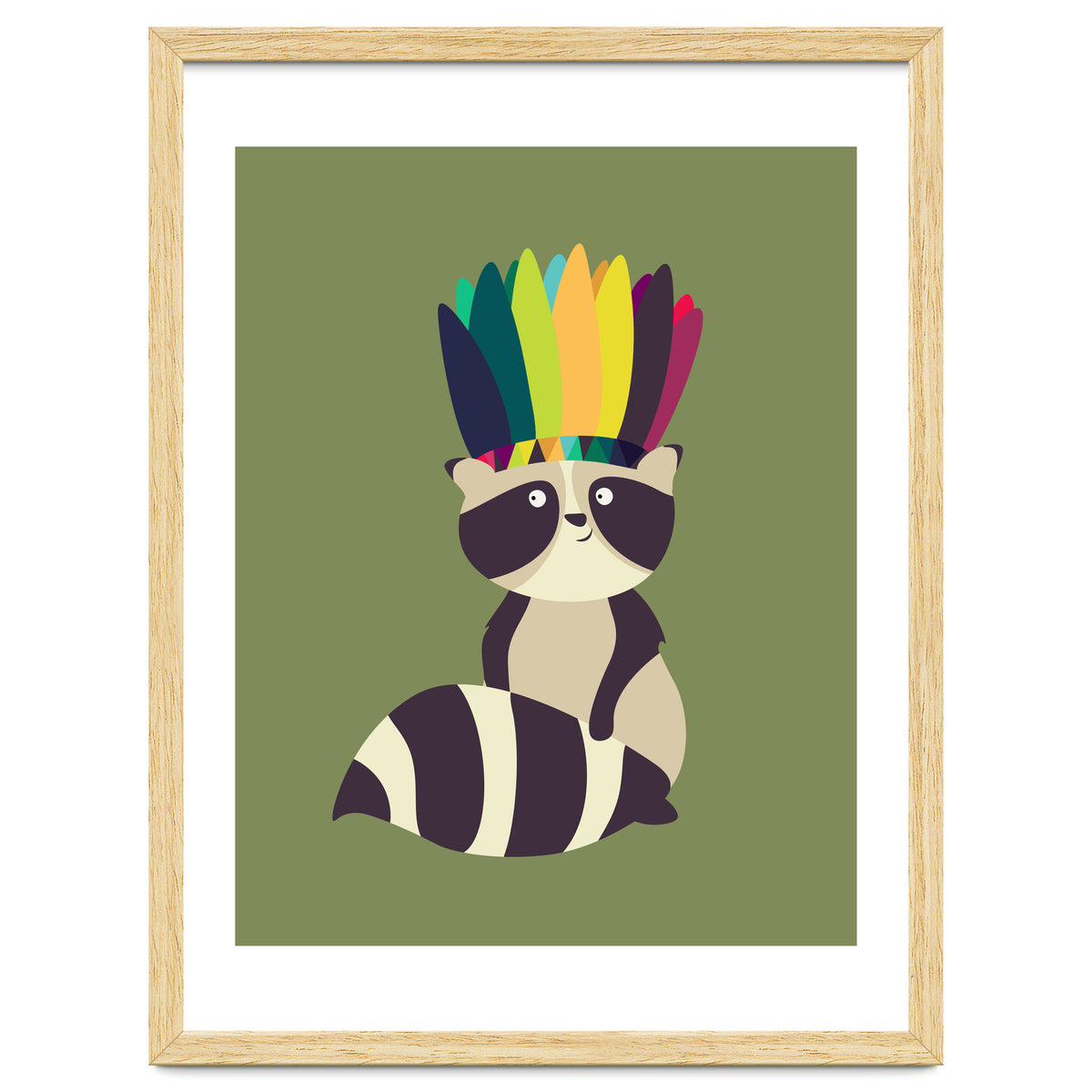 Indian Raccoon