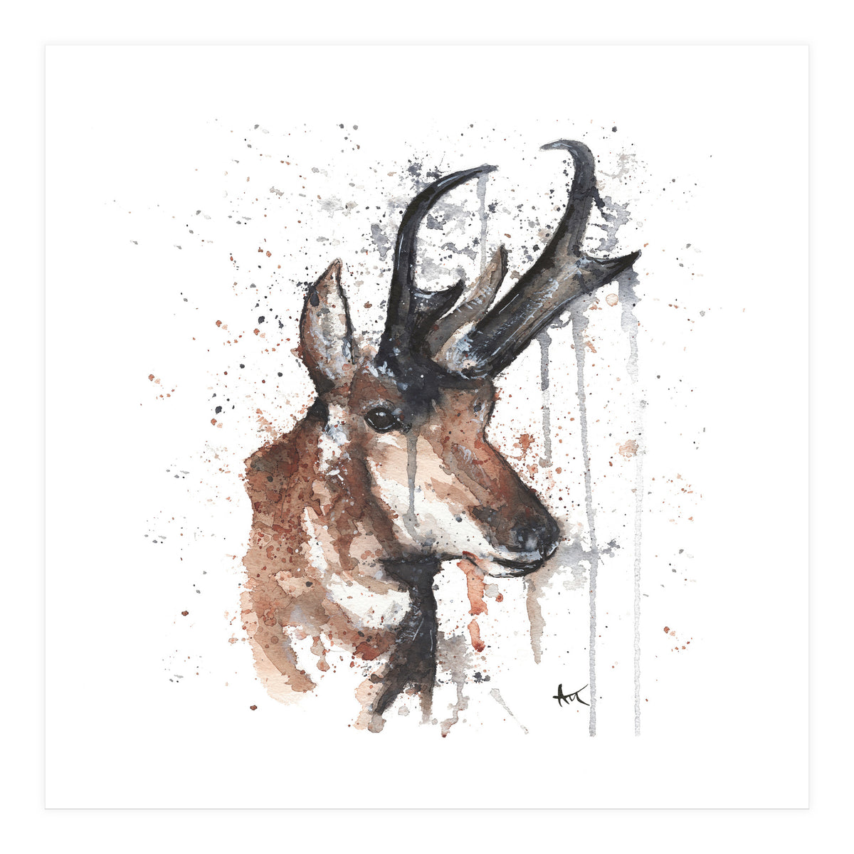 Red deer - Wildlife Collection (Print Only)