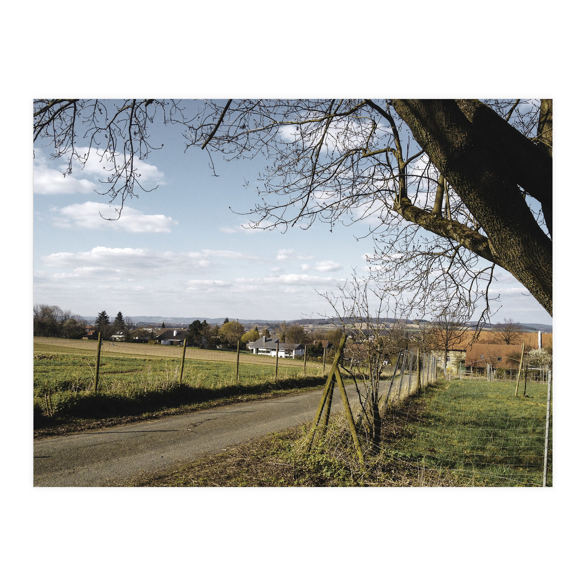 Bucolism 1 (Print Only)