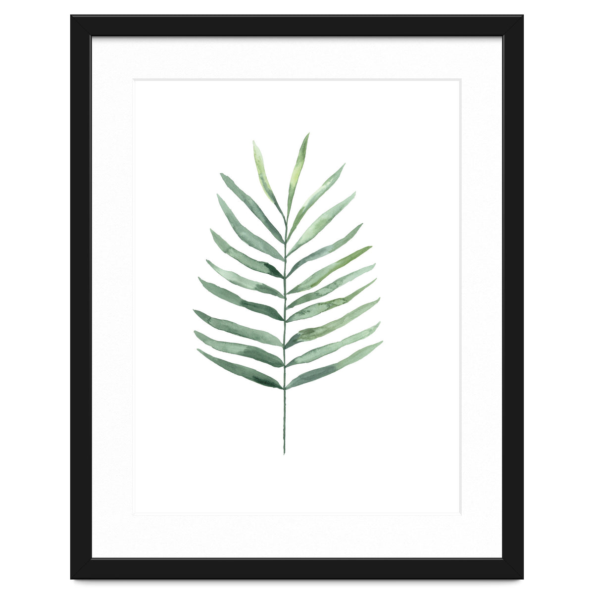 Botanical Illustration Fern