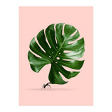 Monstera Ant (Print Only) thumbnail