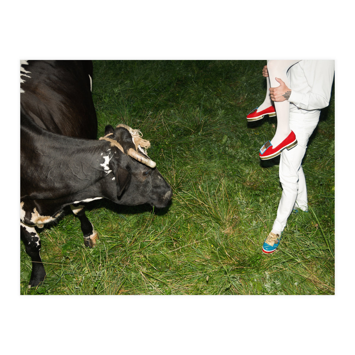 Moo means No (Print Only)