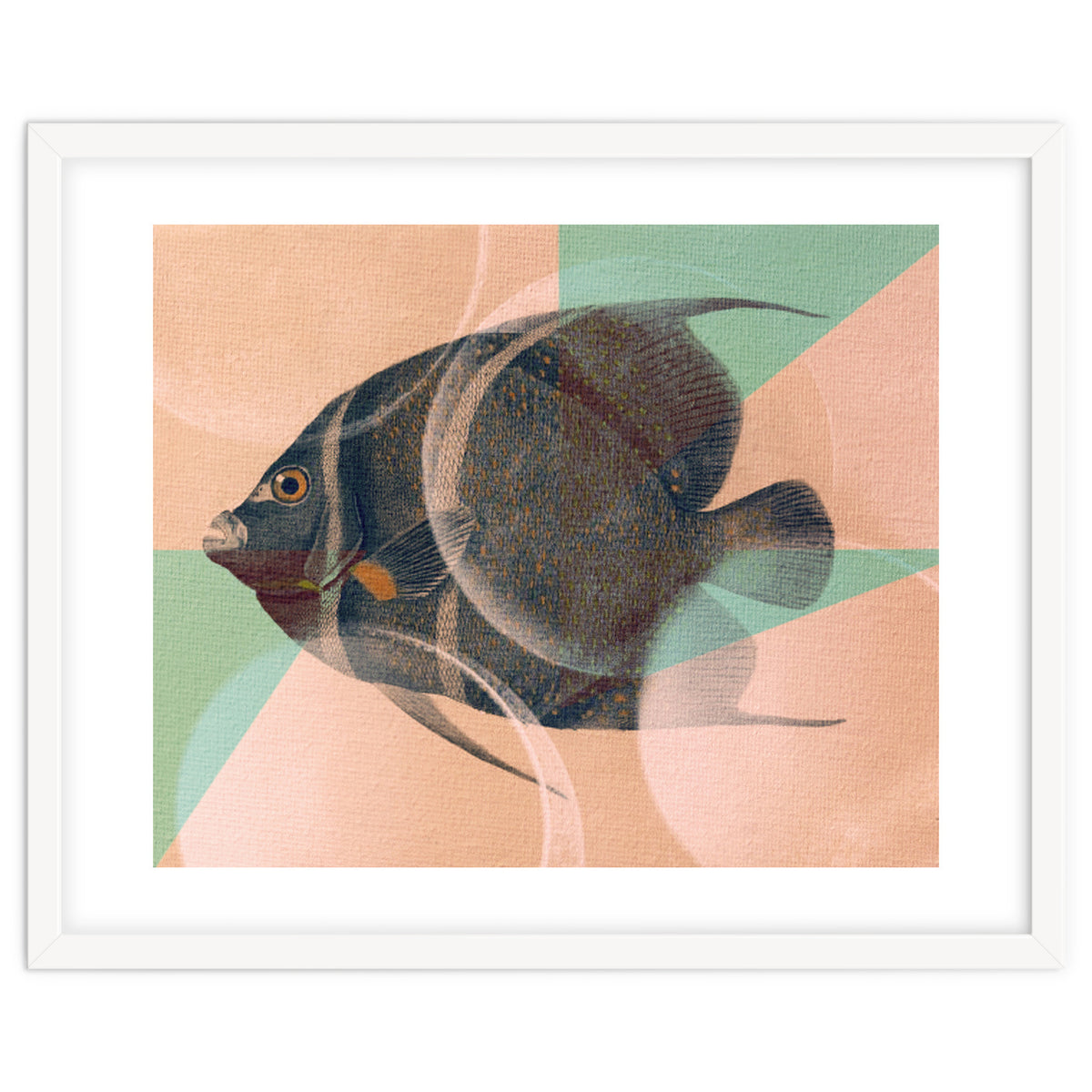 Fish Between Circles 2