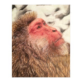 Japanese Macaque At The Onsen (Print Only) thumbnail