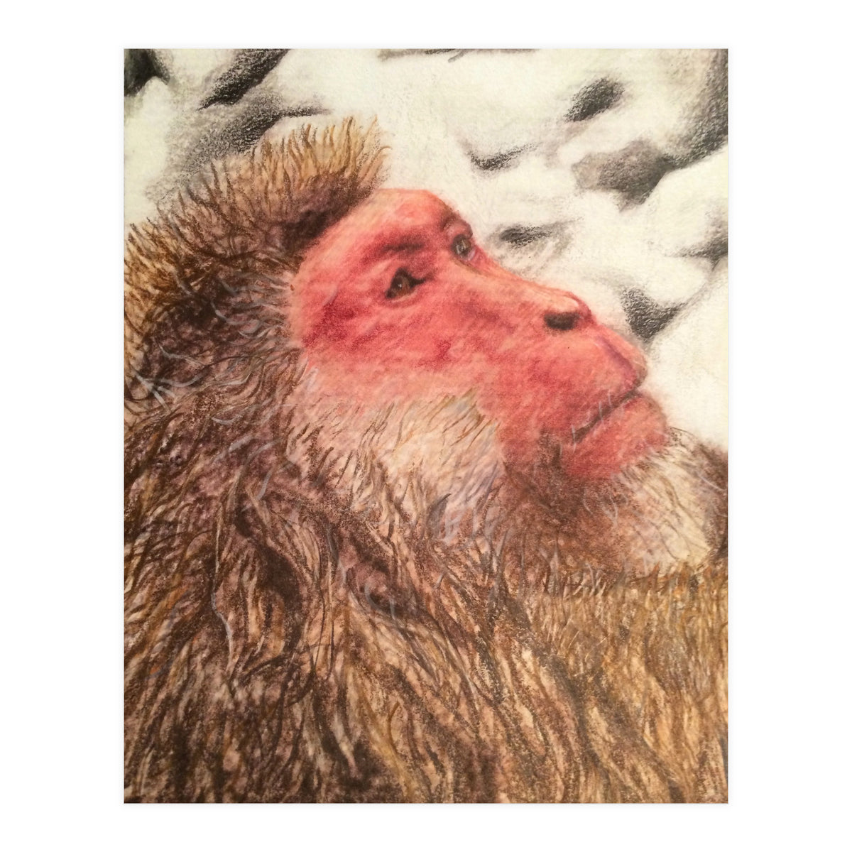 Japanese Macaque At The Onsen (Print Only)