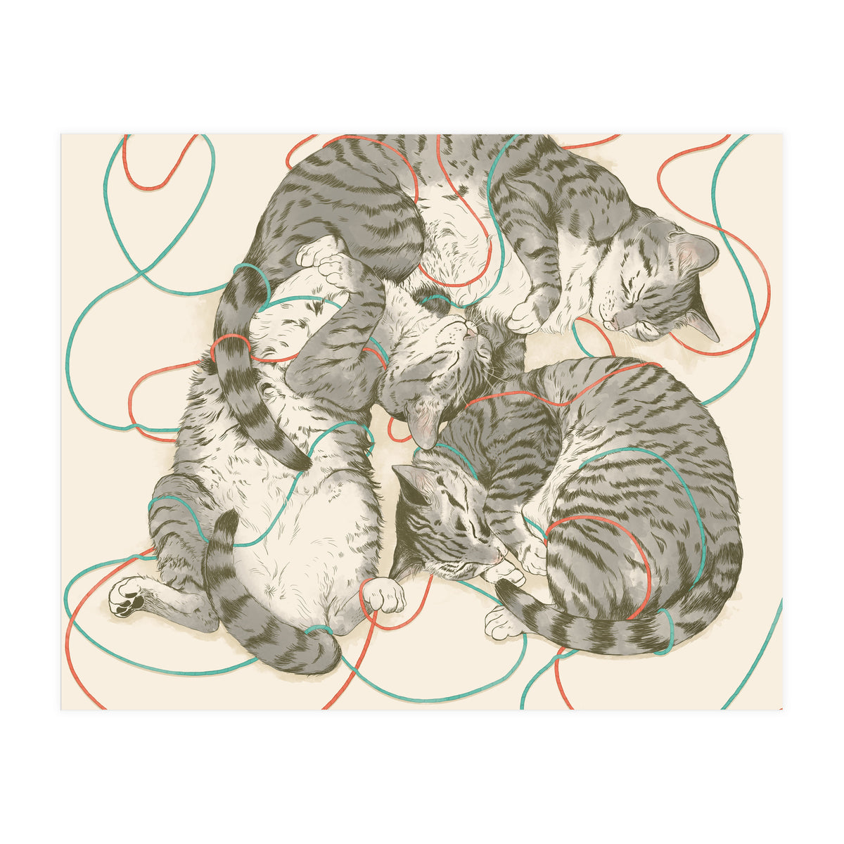 Cats (Print Only)