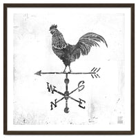 Weather Vane