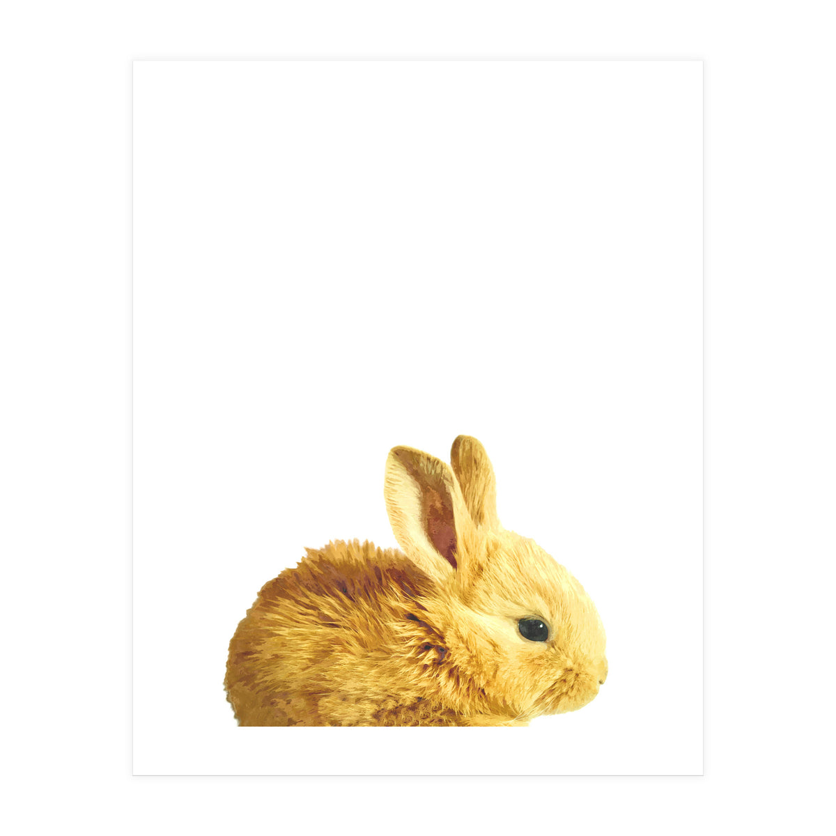 Bunny Portrait (Print Only)