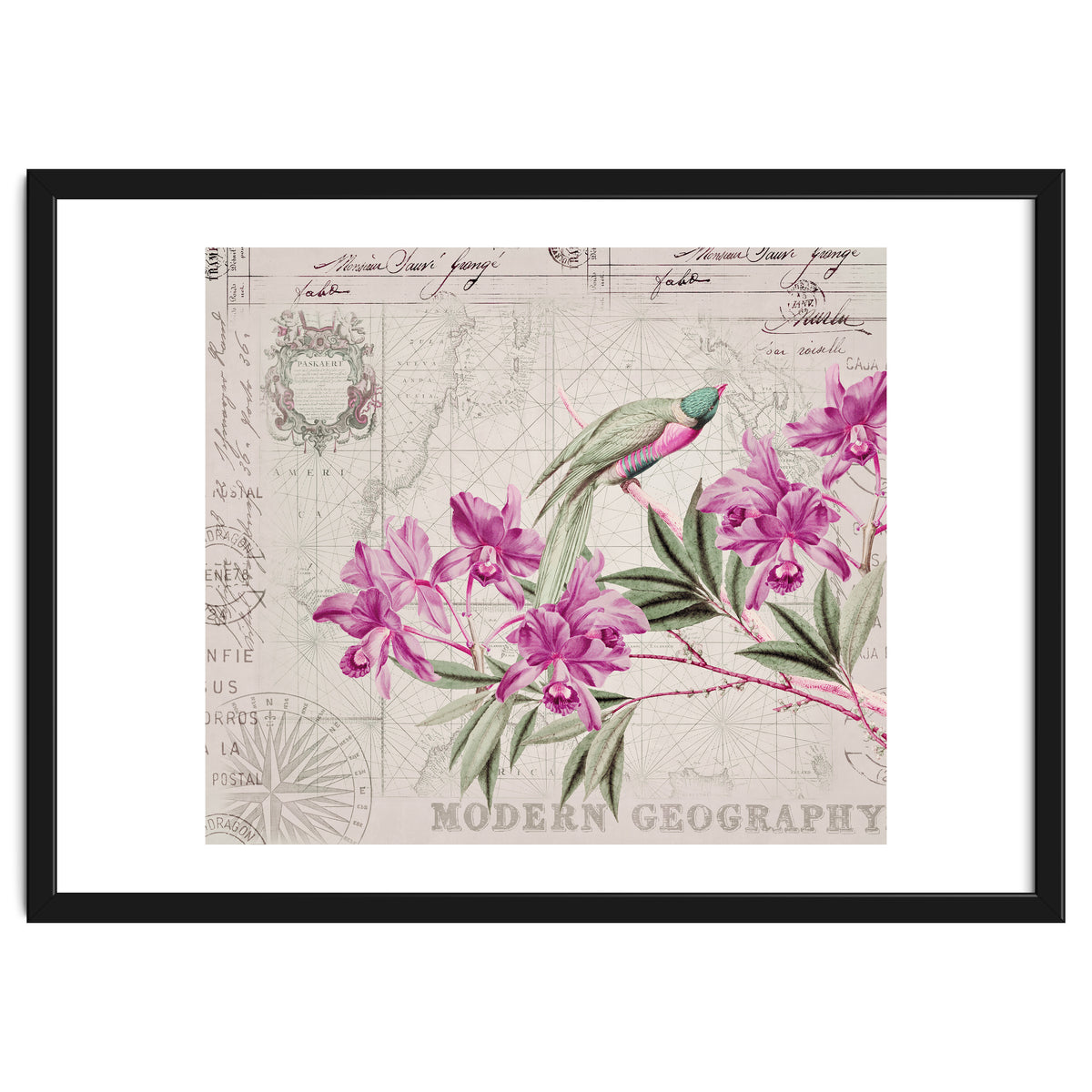 The Birds Voyage Of Discovery