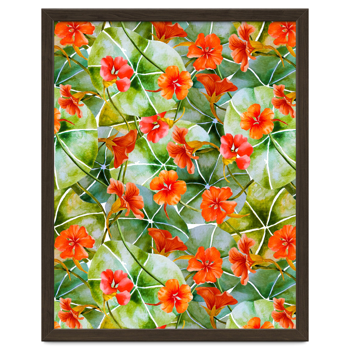 Nasturtiums watercolor 01