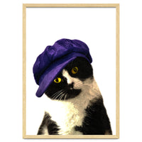 Cat Blue Hat