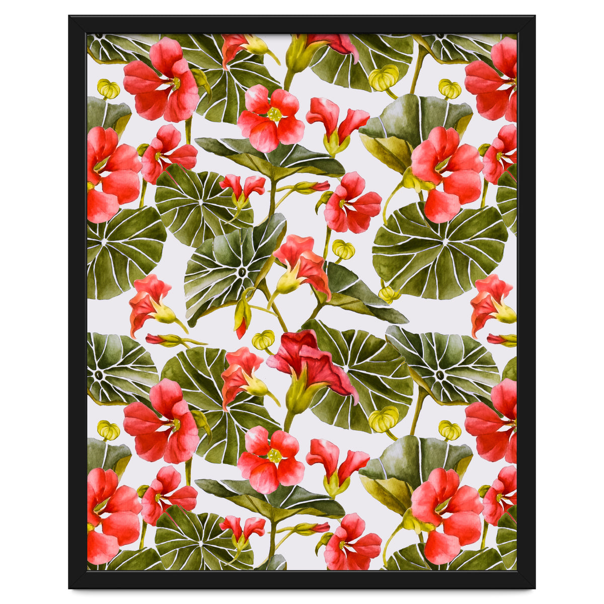 Nasturtiums watercolor 02