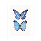 Cc Butterflies 05 (Print Only) thumbnail