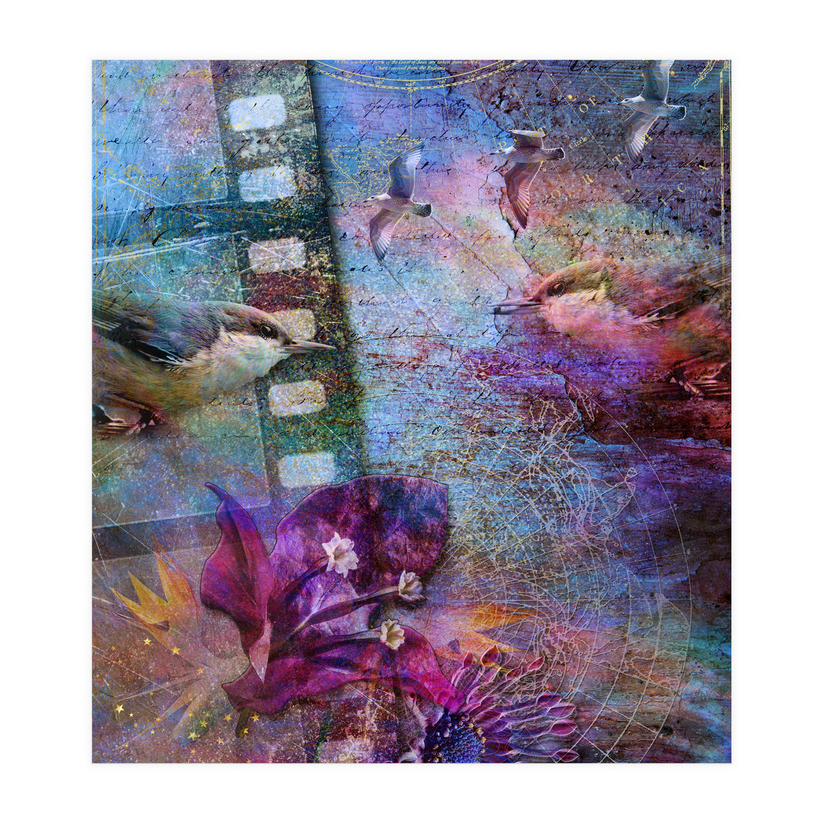 Watching the Wild World (Print Only)