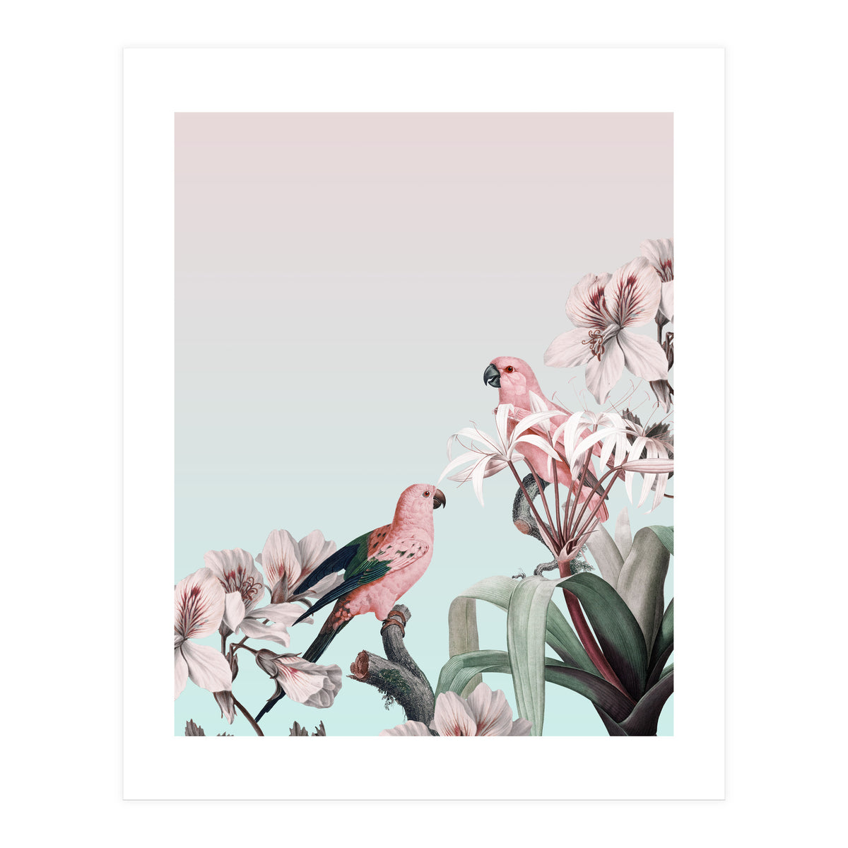 Pastel Parrots Paradise (Print Only)