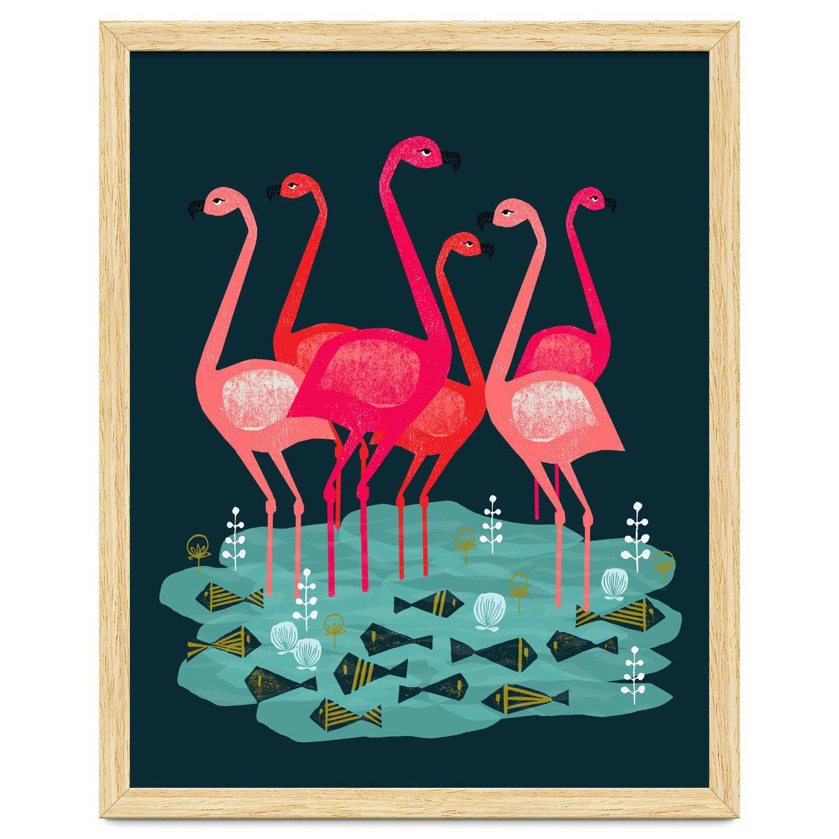 Flamingo