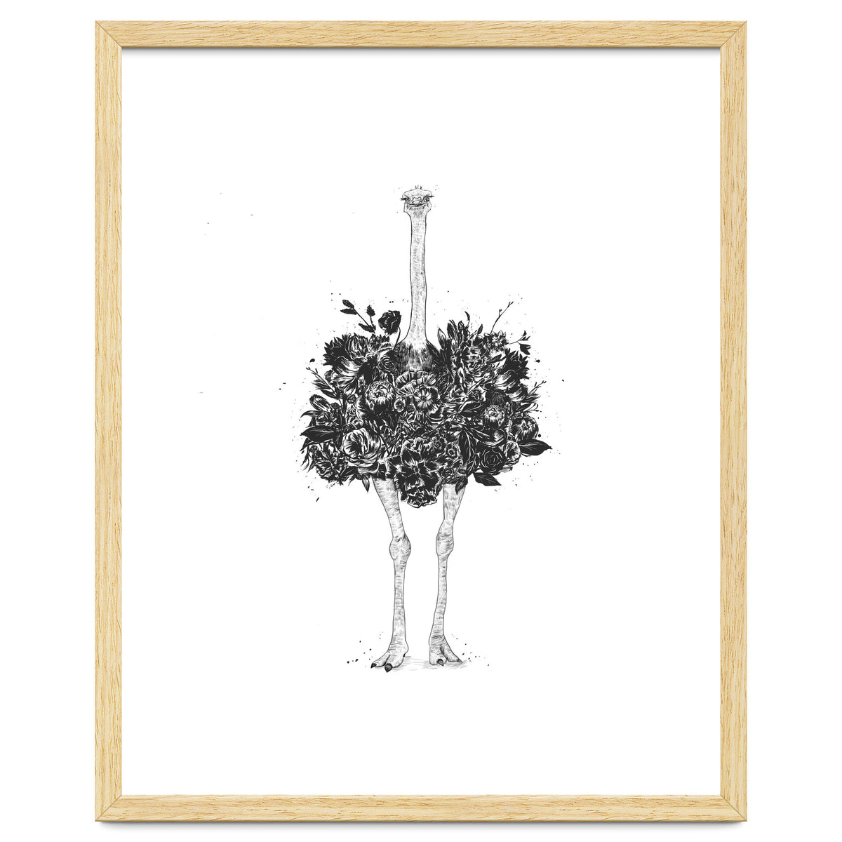 Floral Ostrich