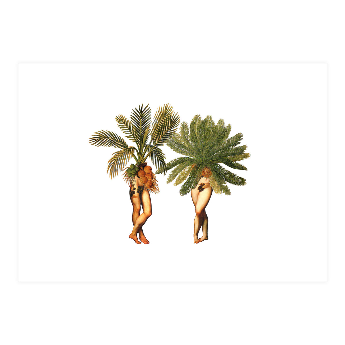 The Palms (Print Only)