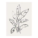 Banana Leafs Drawing (Print Only) thumbnail