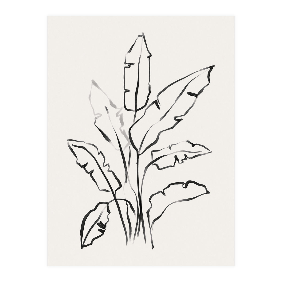 Banana Leafs Drawing (Print Only)