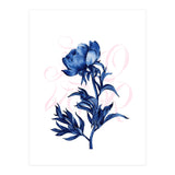 rosa blu (Print Only) thumbnail