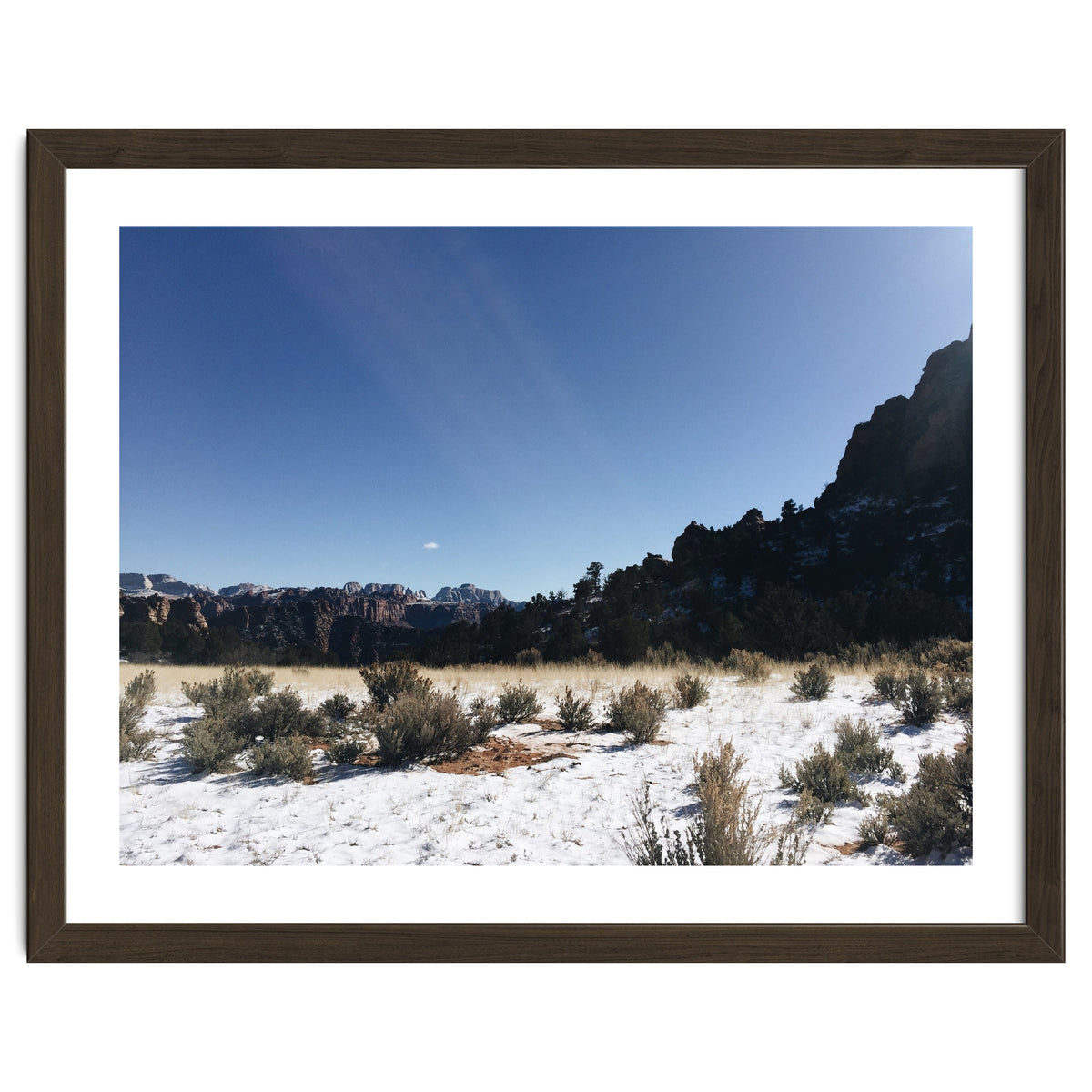 Zion National Park II